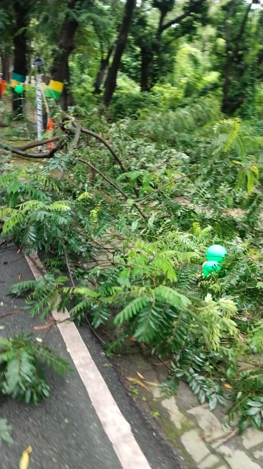 Power supply to half the city was disrupted due to rain.