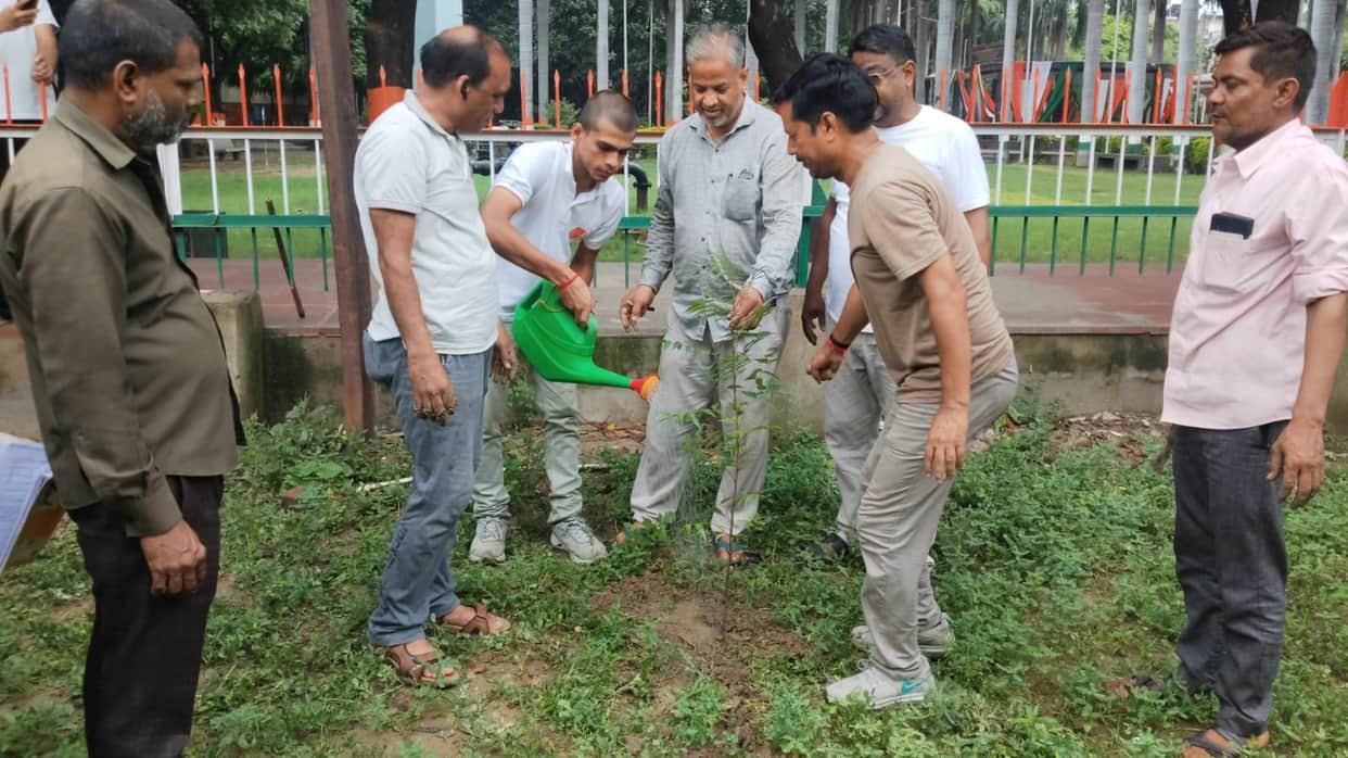 Committee plants saplings at Shaheed Park, assigns responsibility to staff.