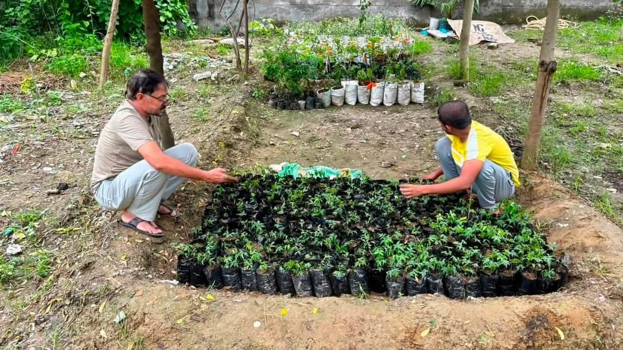 Native plant nursery set up at Ratan Tata City Forest.