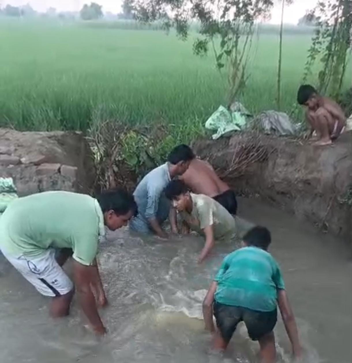 फोटो: सोनीपत के गांव पुरखास के पास टूटे रजबहे पर रेत से भरे कट्टों को लगा कर कटाव रोकने का प्रय
