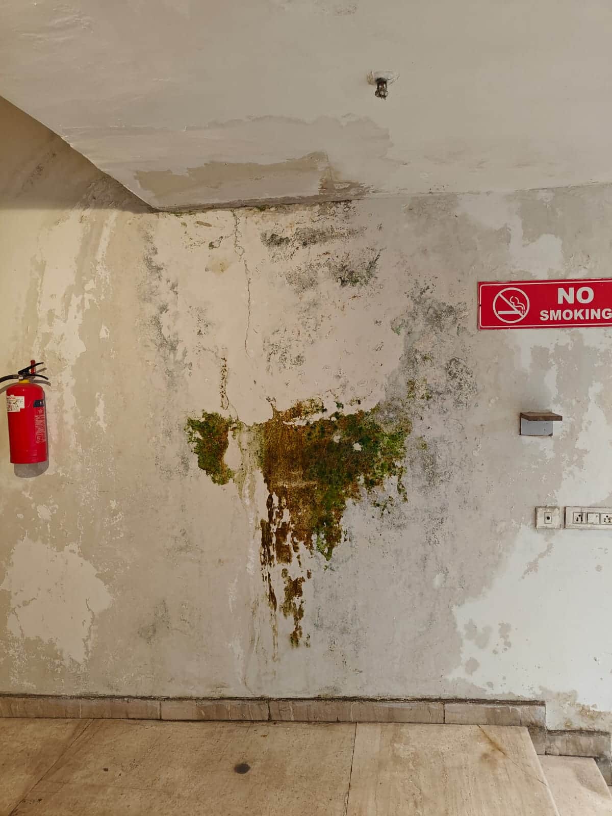 Plaster is continuously falling in the Migsun Ultimo society