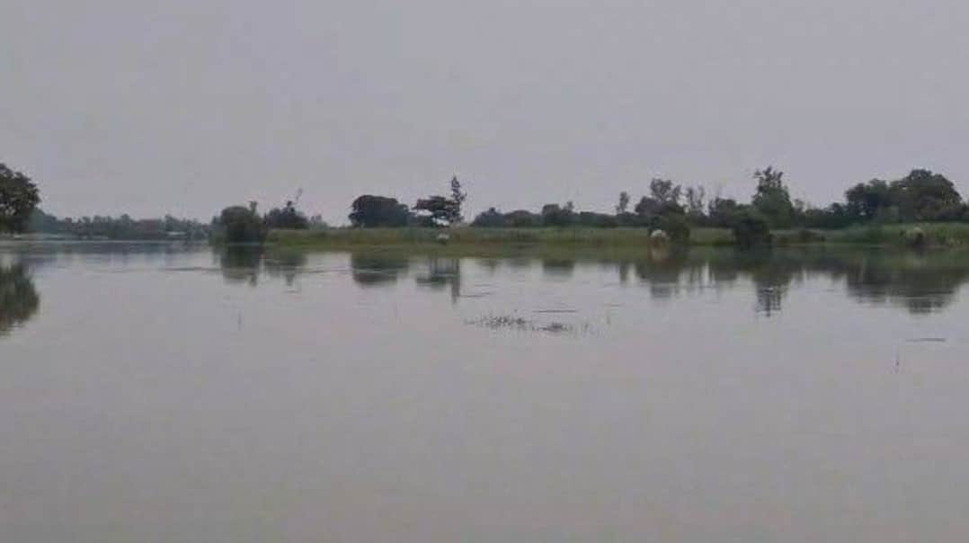 jharkhand red alert gaya flood risk falgu river administration on high alert today bihar news