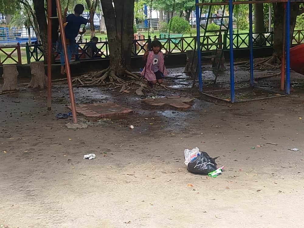 Garbage not being cleared on time from city wards; waste management system in disarray.