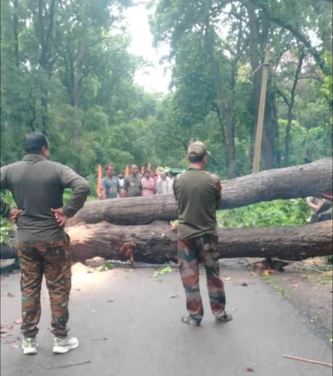Traffic disrupted, power outage due to falling of tree on Dhanaraghat Road