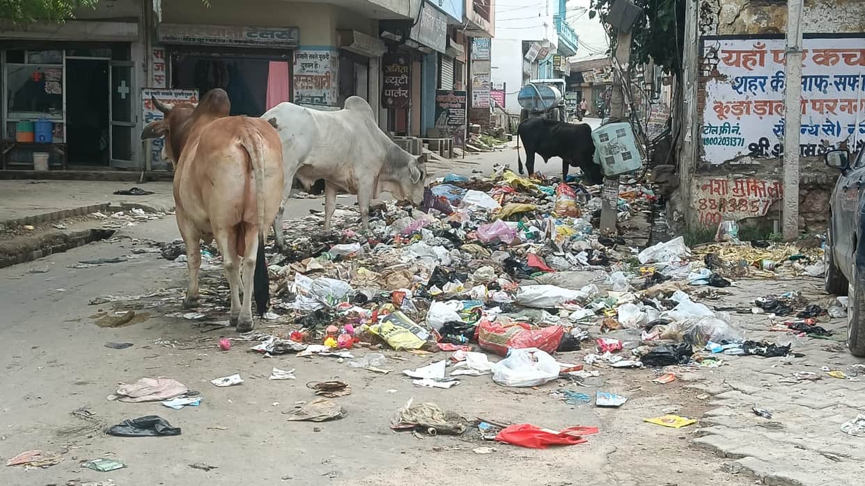 Sanitation workers' strike continues for the 11th day; piles of garbage accumulate on the streets.