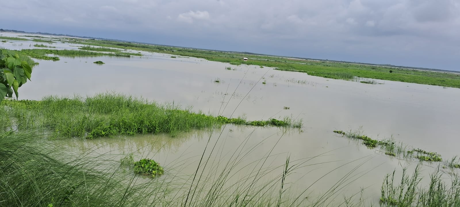 दयाछपरा क्षेत्र में बढ़ने लगा गंगा नदी के बाढ़ का पानी।संवाद