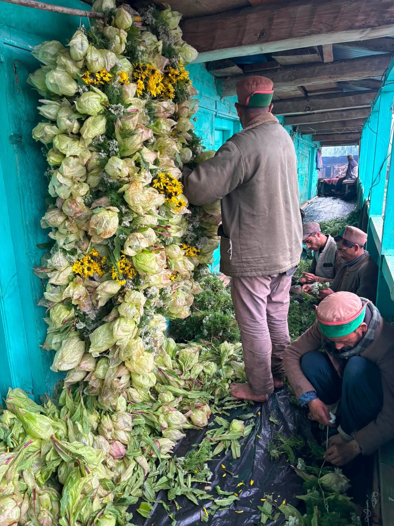 भंफड़ मेले के लिए चोटियों से लाए विशेष ब्रह्मकमल फूल और नेसर की माला तेयार करते हुए भे़ड़पालक