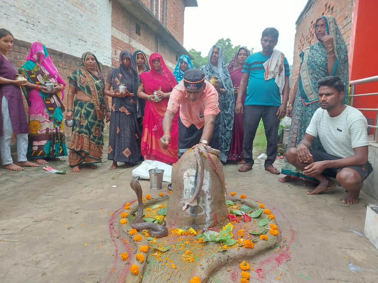 Nagdev was worshipped everywhere from homes to Shiva temples.
