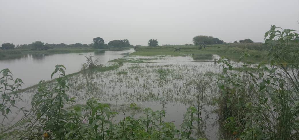 unnao news
