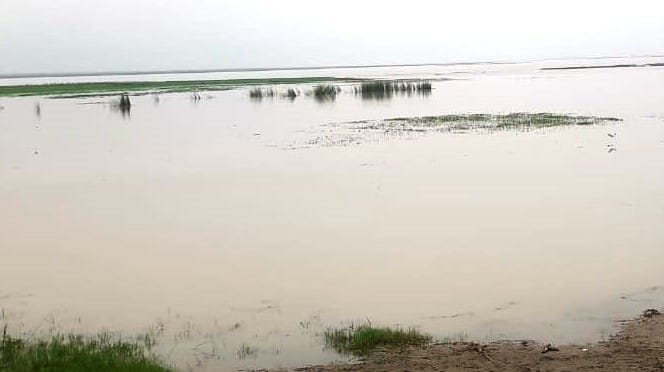 फोटो 28- लहरा क्षेत्र में फैल रहा गंगा का पानी। स्रोत संवाद