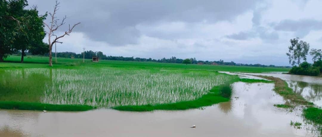 Water level