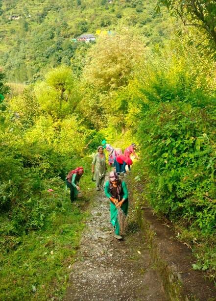 ग्राम पंचायत कनौन के शौहल गांव में रास्तों को संवारती महिलाएं। -संवाद