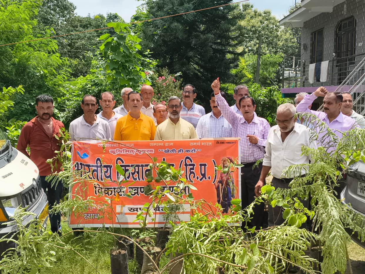 Farmers frustrated over four-year wait for Khair tree felling.