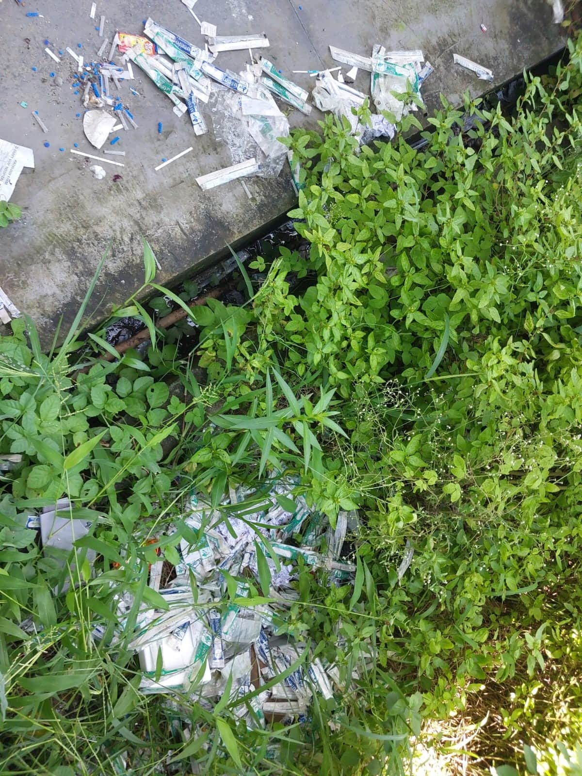 Biomedical waste lying in the open behind the pathology lab.