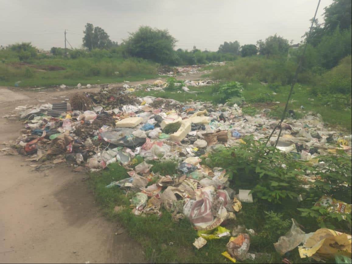City choked with 1,000 metric tonnes of garbage amid strike; stray cattle scavenging through the waste