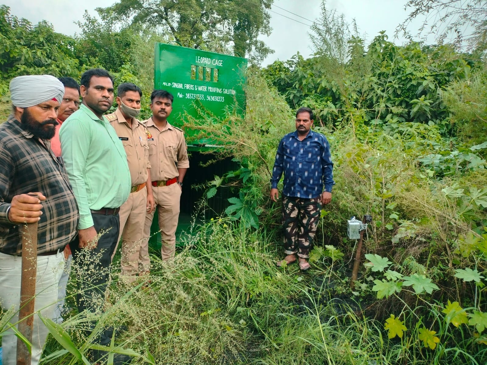 पूरनपुर चीनी मिल परिसर में तेंदुआ पकडने को लगाया गया पिंजरा- वन विभाग