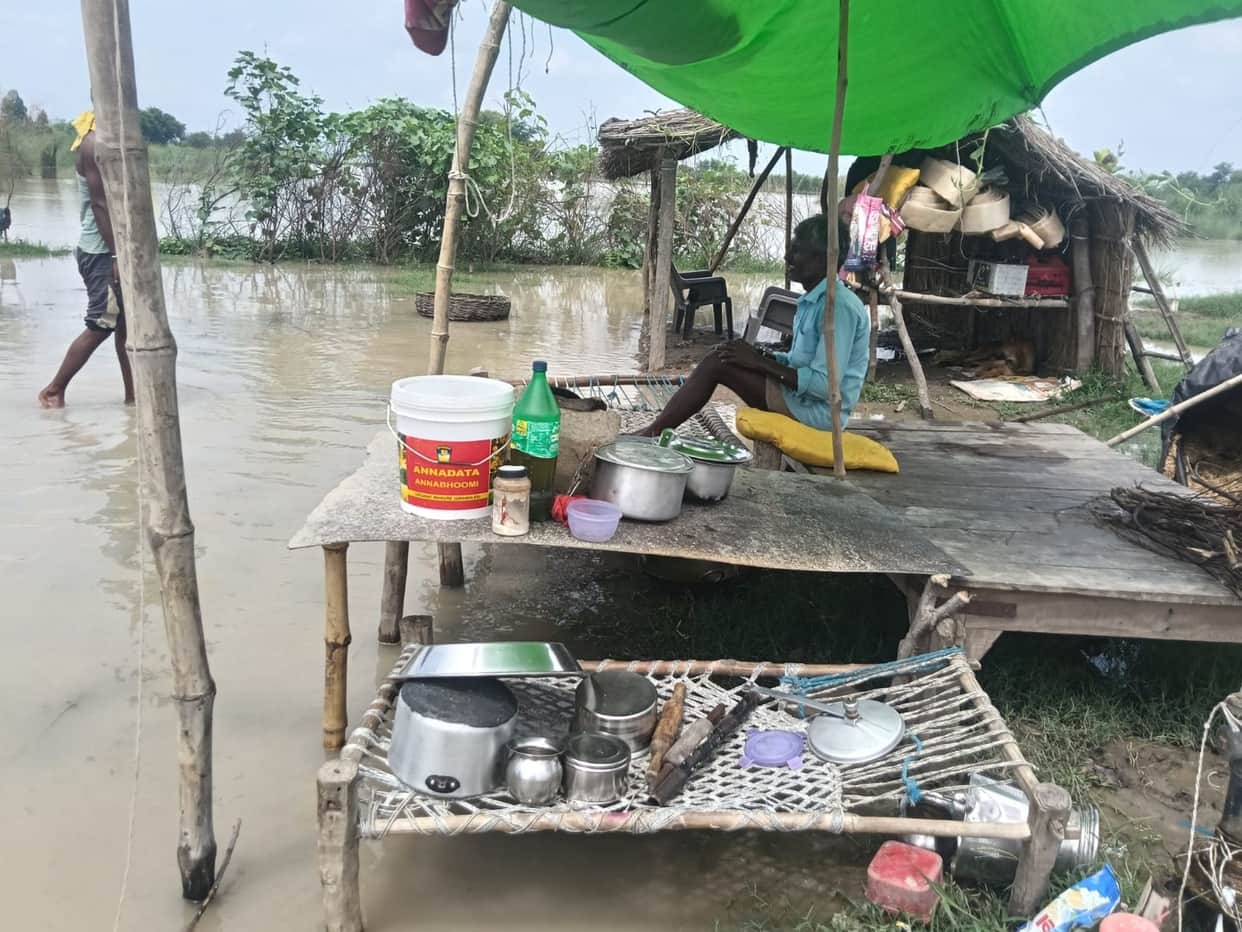 The affected people from the entire market area transport green fodder to a safe location by boat.