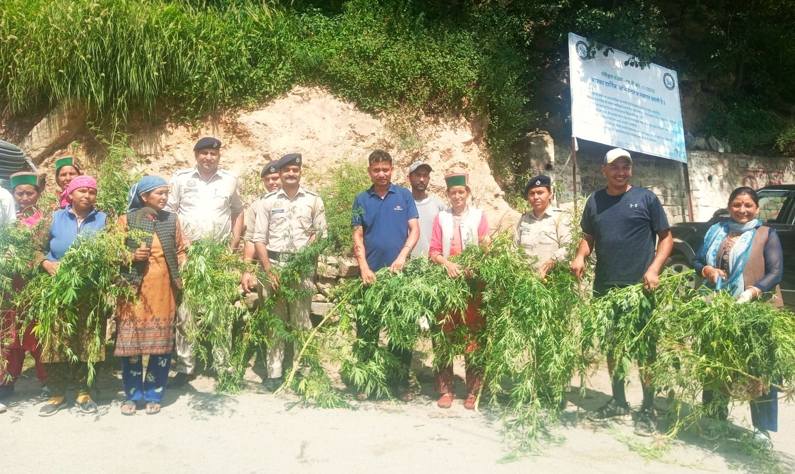 उरनी में भांग उखाड़ो अभियान चलाकर नशामुक्ति का दिया संदेश। संवाद