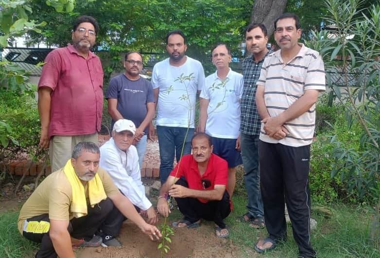 Tree plantation carried out at Kailash Park, Subhash Nagar.