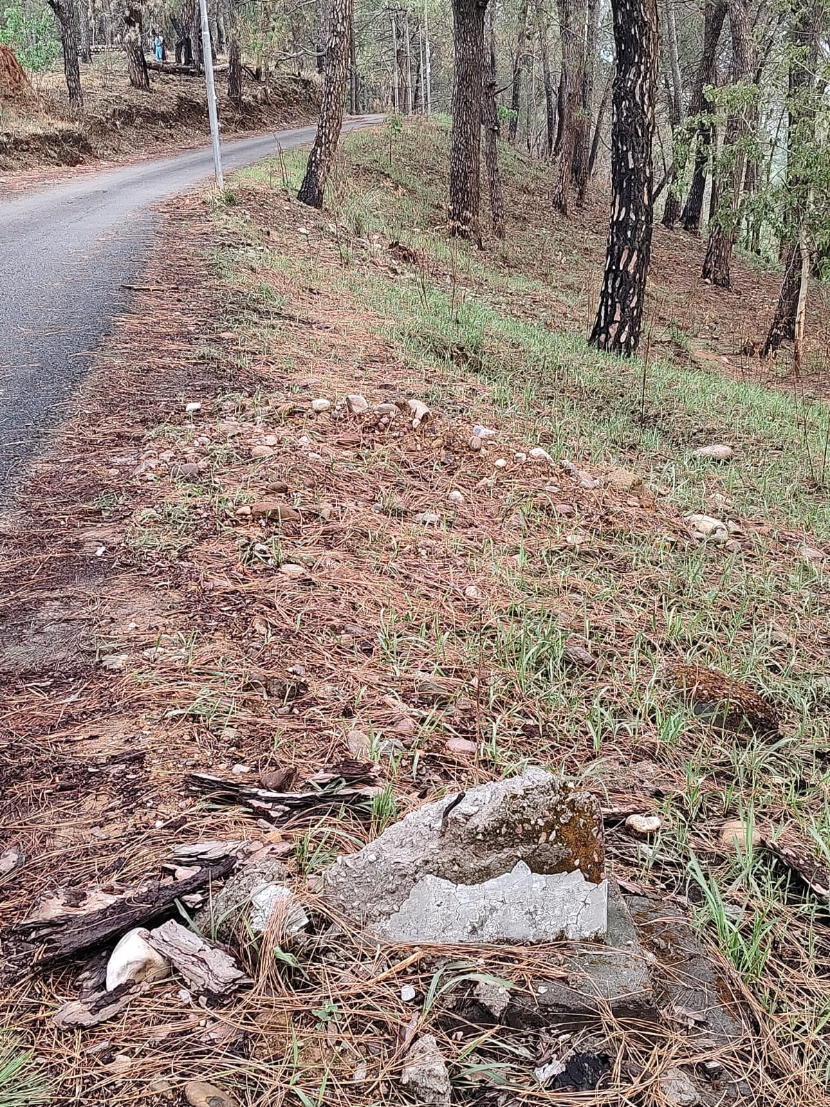 भरेड़ी-अवाहदेवी वाया डाडू सड़क पर टूटा माइलस्टोन। संवाद