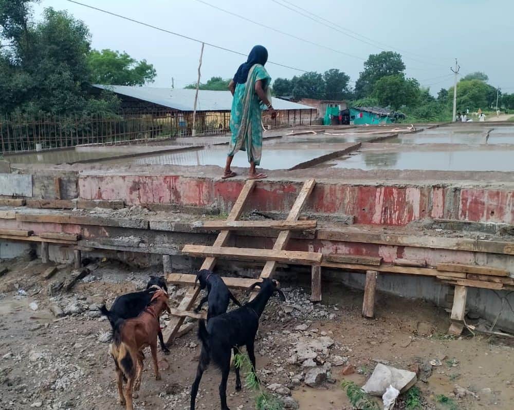 Now, the Shyama Nala has breached its banks in Sirsikalan.