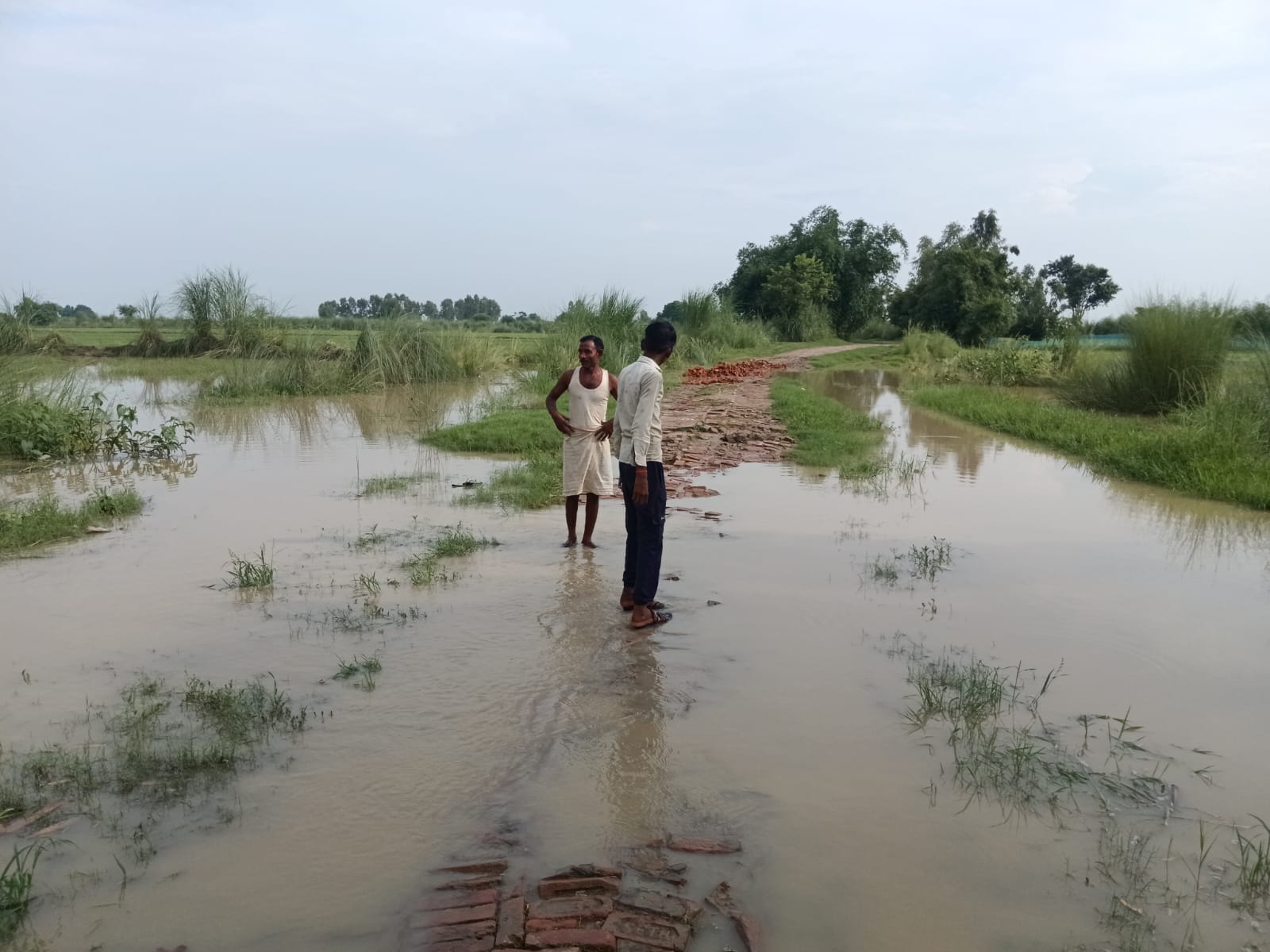 फोटो 33: कटियारी क्षेत्र के जीवनपुरवा गांव में सड़क तक आया बाढ़ का पानी। स्रोत : ग्रामीण