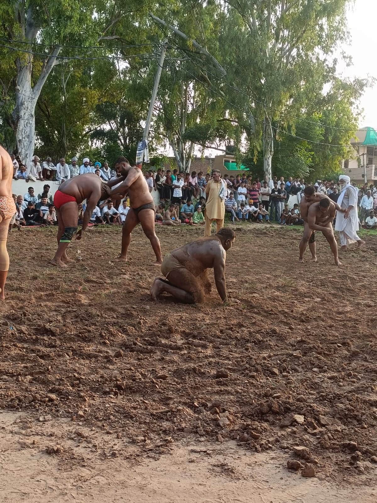 Sonu, Banga, Sukhchain, Balwan and Mani wrestlers became winners.