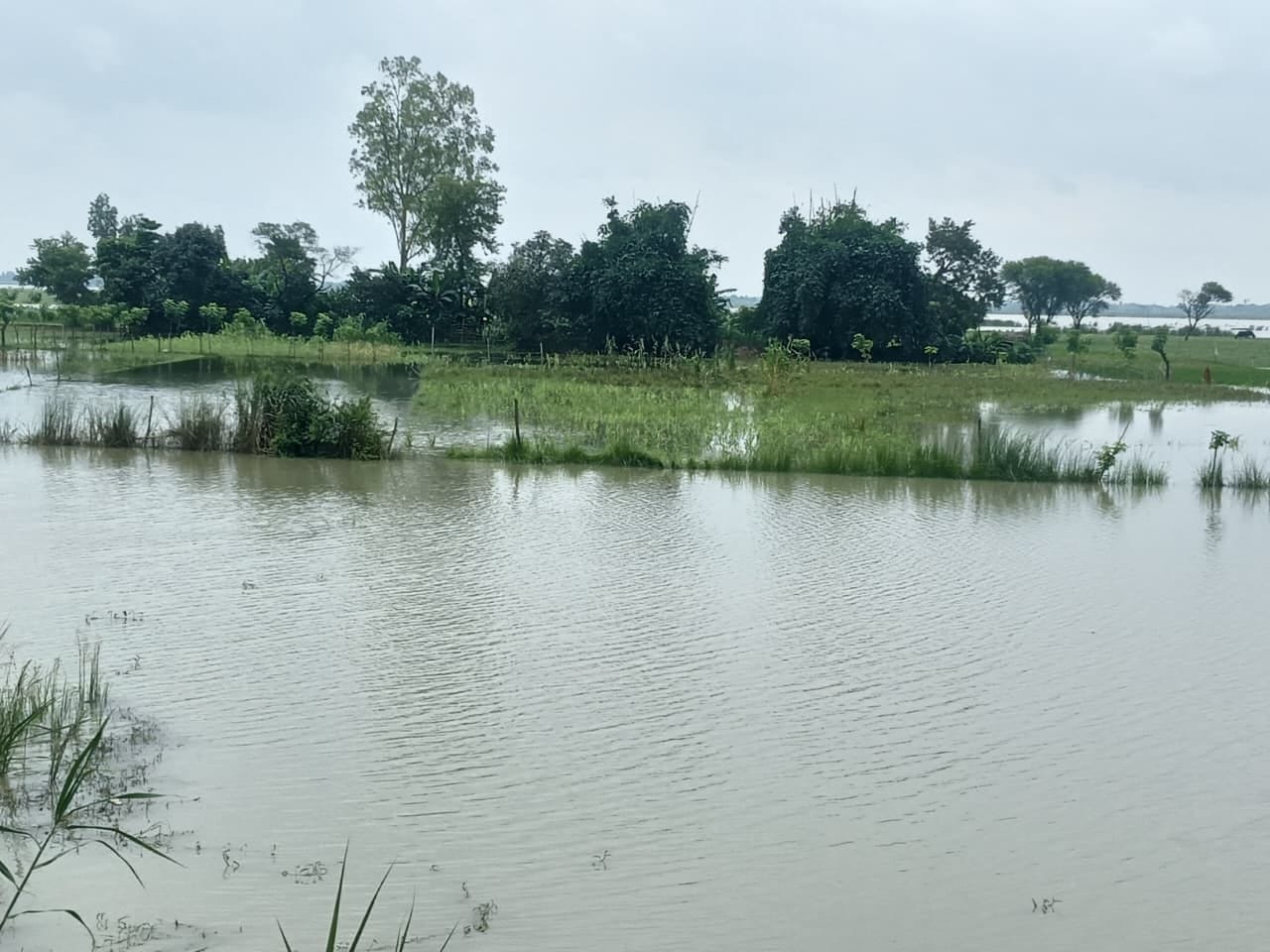 जलस्तर के बढ़ने से खेतों में भरा पानी। संवाद