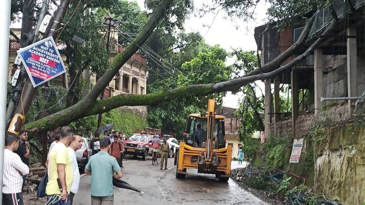 Tree falls on Kangra-Hoshiarpur road; traffic jam lasts four hours.