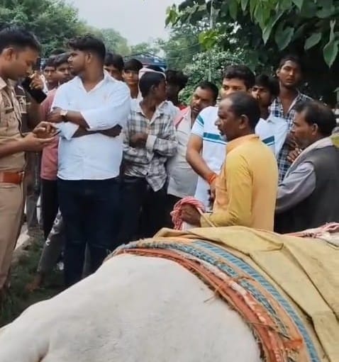 A young man collecting donations while accompanied by a Nandi bull was caught and handed over to the police.