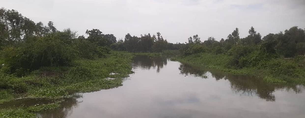 Two thousand bighas of crops submerged due to overflowing of Shivgarh drain