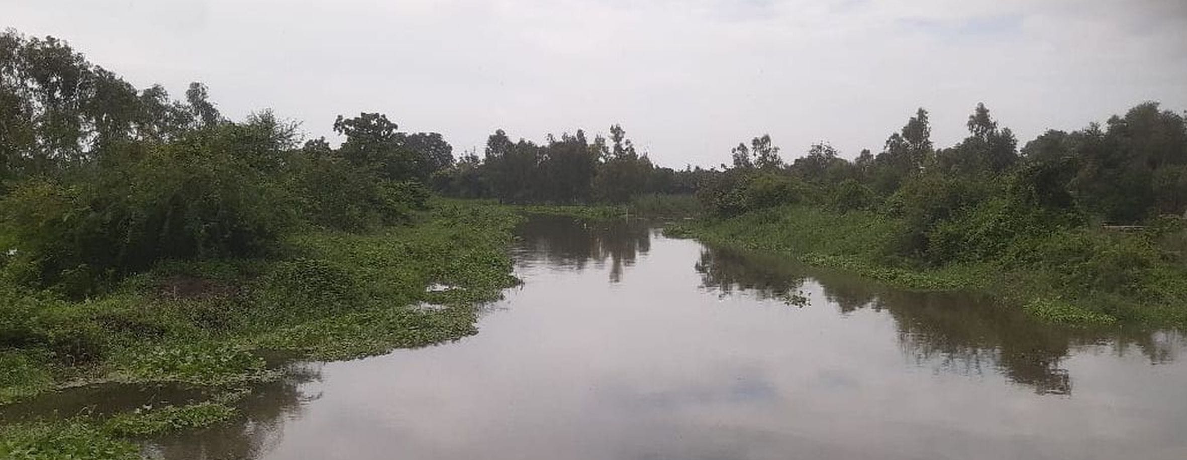 शिवगढ़ क्षेत्र में सफाई न होने से उफनाई शिवगढ़ ड्रेन। 