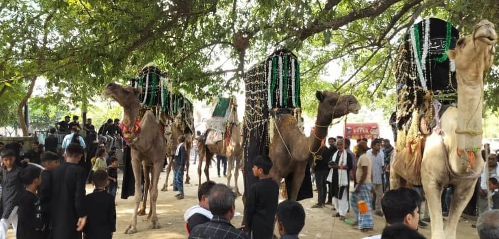 'Juloos-e-Amari' taken out in Shivli; martyrdom of Imam Hussain commemorated.