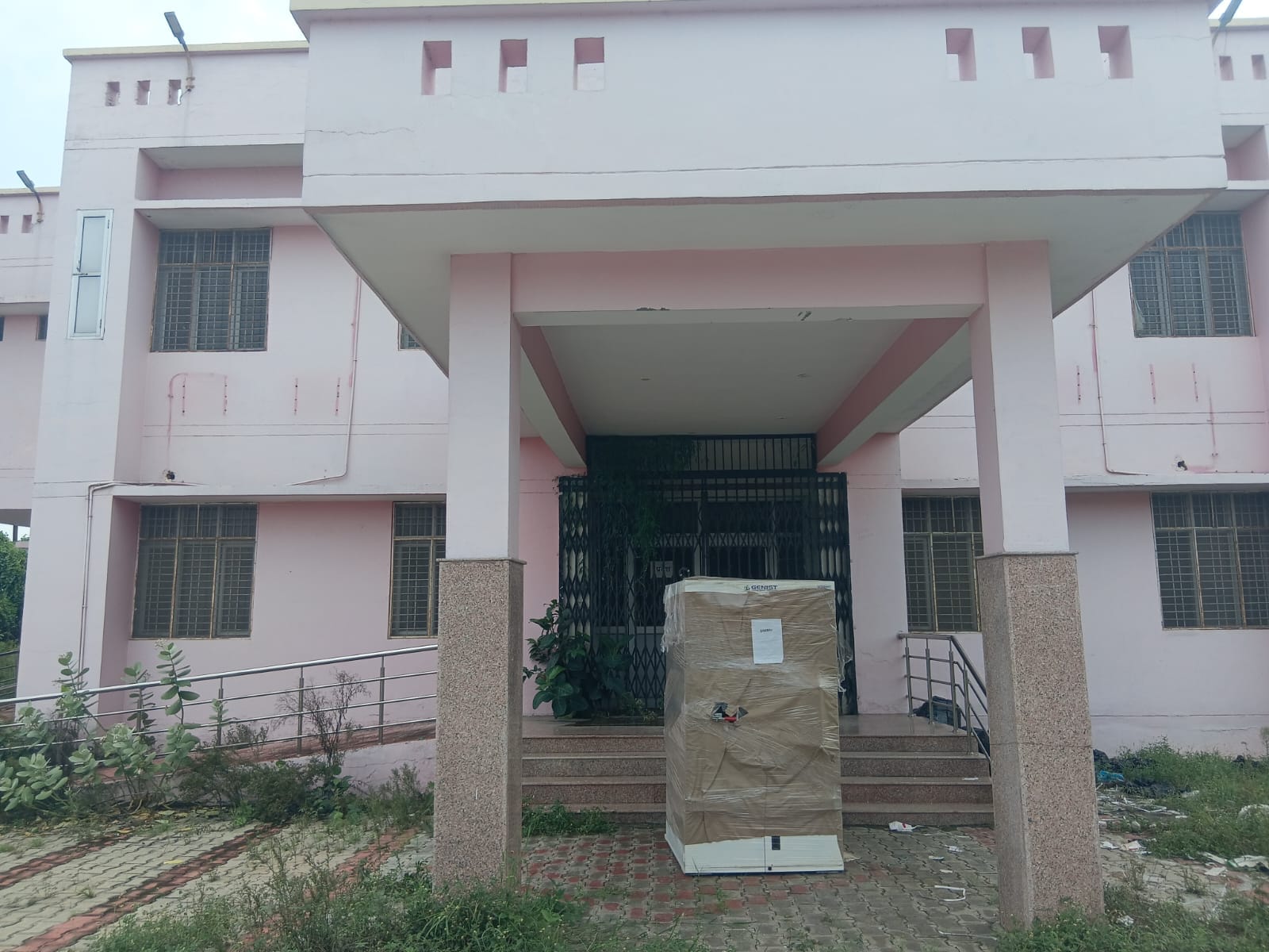 बर्न यूनिट परिसर में उगी घास। संवाद