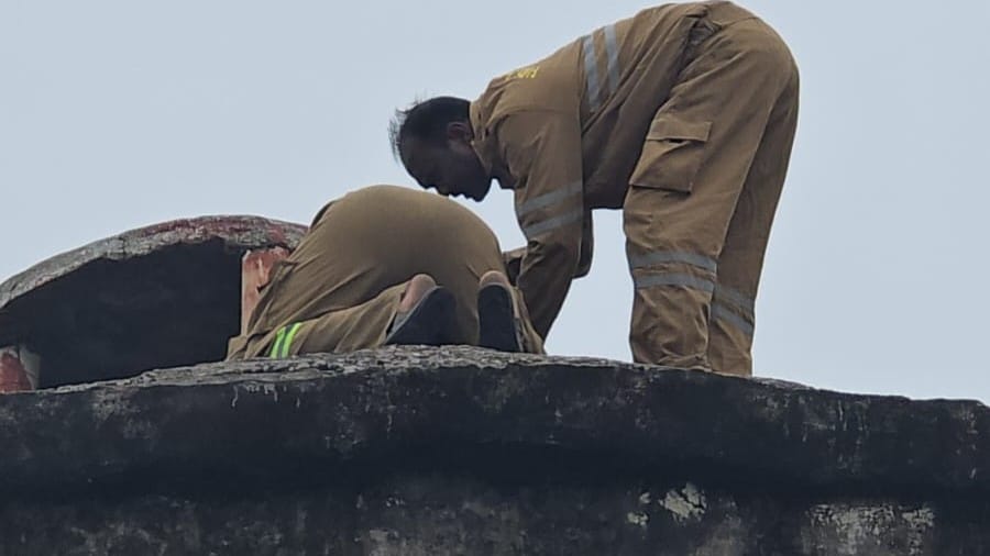 The fire brigade rescued monkeys trapped in a tank.