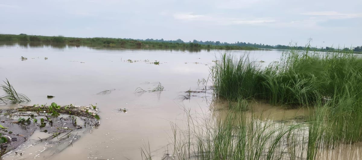 बिहार: गंगा का जलस्तर बढ़ा, डाउनस्ट्रीम जिलों में बाढ़ का खतरा; प्रदेश के इन पांच जिलों में अलर्ट