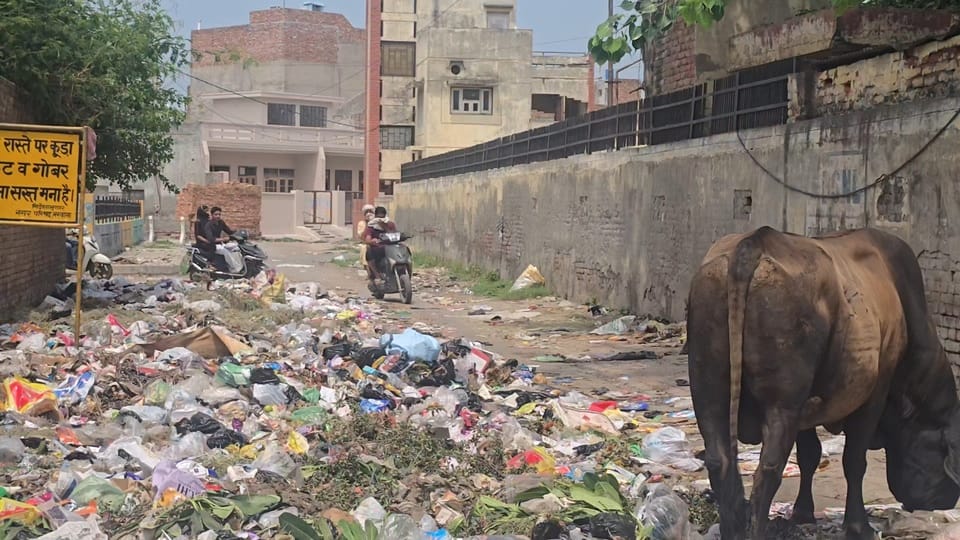 फोटो 6 नरवाना। शहर के मॉडल टाउन की एक गली में लगा कचरे का ढेर। संवाद