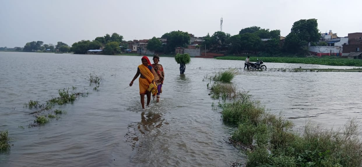 Ganga waters rise up the steps of four ghats; fields submerged and roads blocked in Patna.