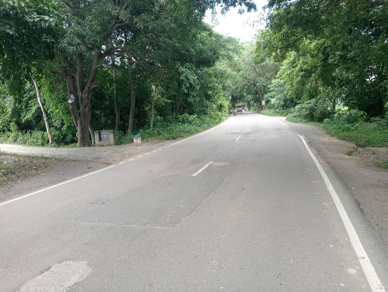192 trees to be felled within a 12-km stretch to widen the Lucknow-Ballia highway