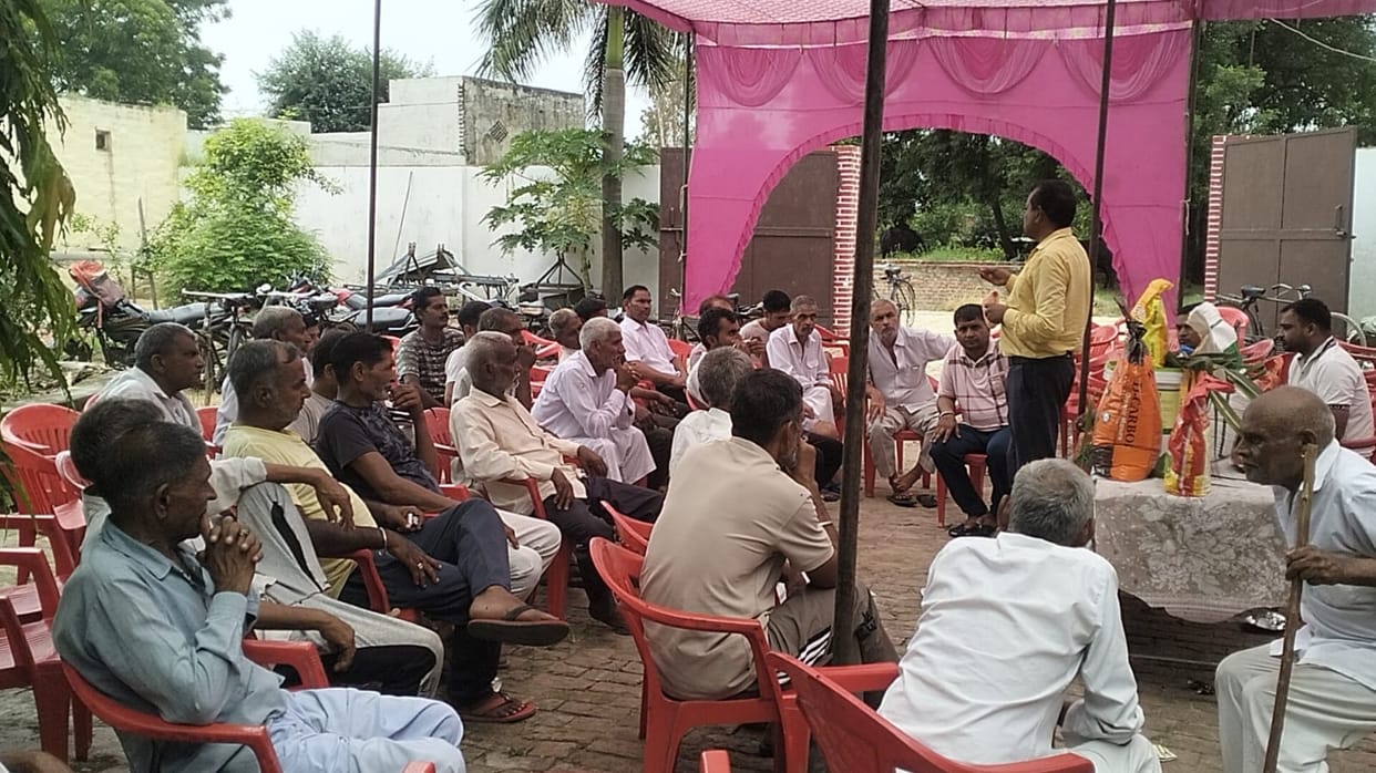 Farmers concerned about Pokkah Boing disease in sugarcane crop.