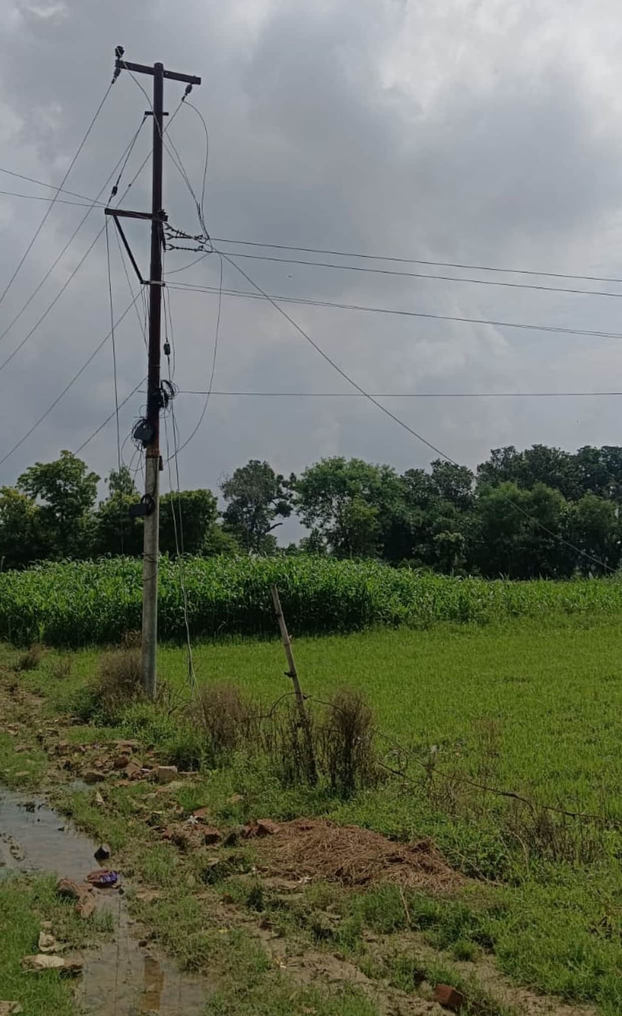 Population of 50,000 faced a power crisis.