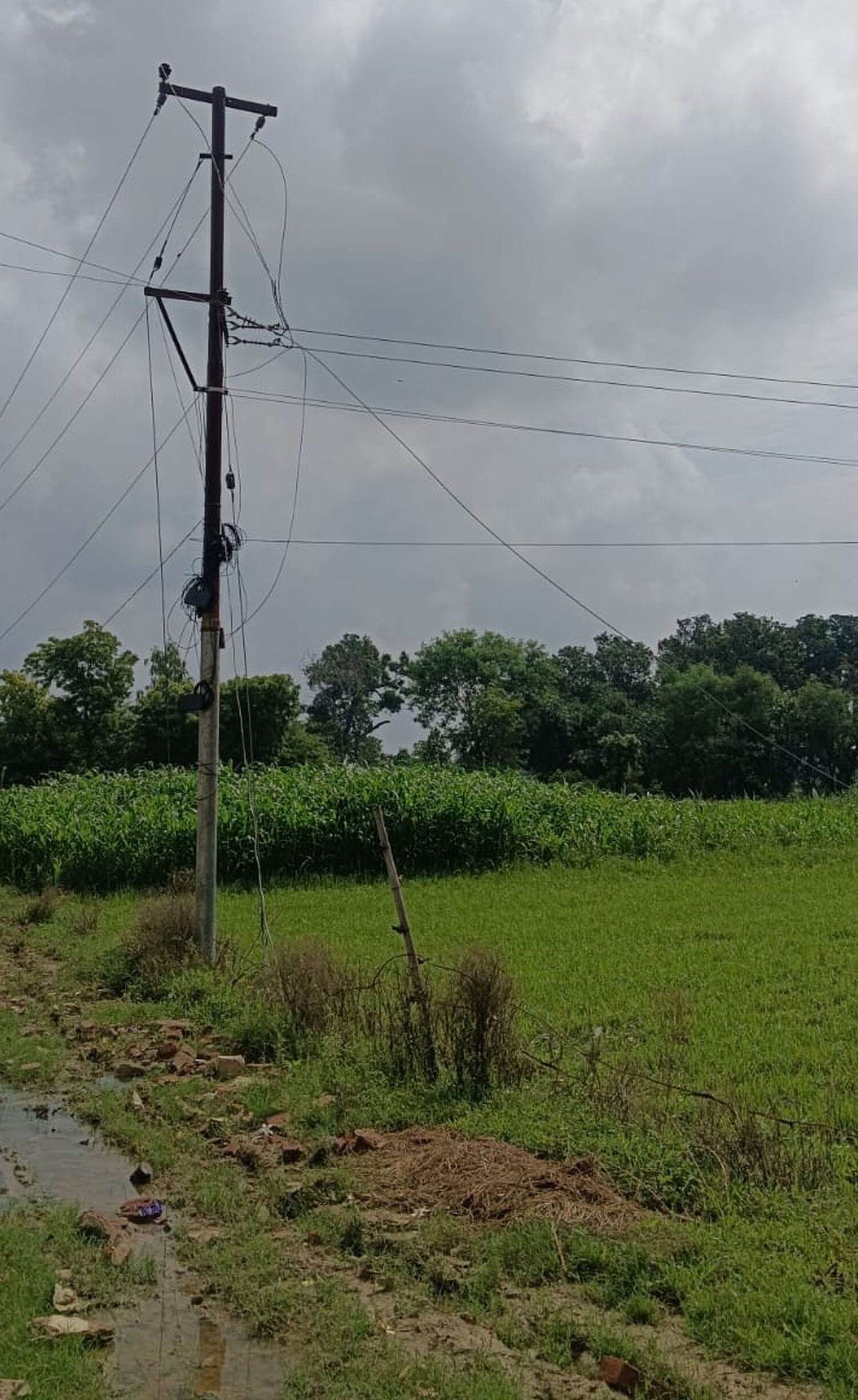  दूबेपुर ब्लाक मुख्यालय के पास टूटकर गिरा बिजली का तार। स्रोत- ग्रामीण