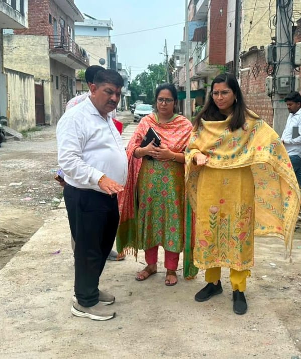 Inspected development works in Ward-19.