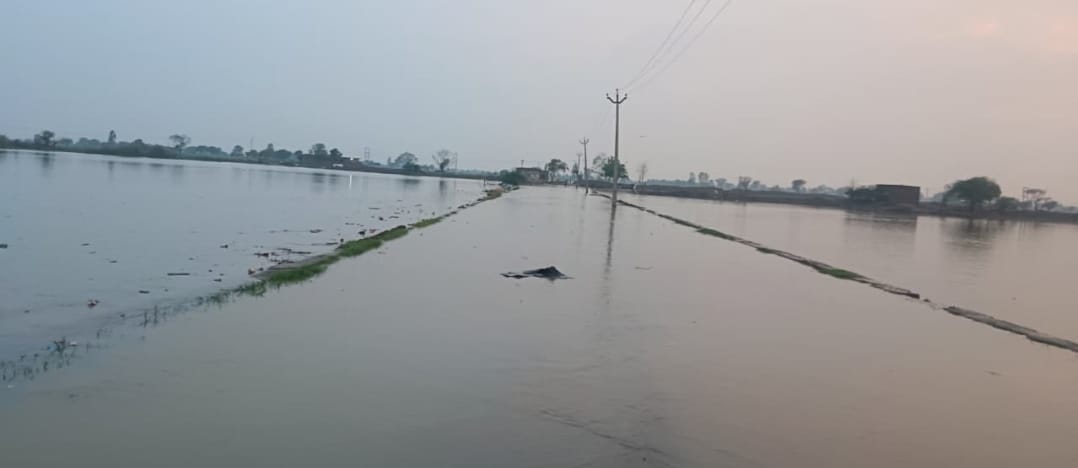 The pond overflowed and turned the road into a pond, causing problems for pedestrians.