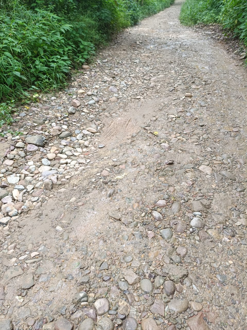 Pater-Ladehar road remains incomplete after three decades; villagers face increased hardship during the monsoon.