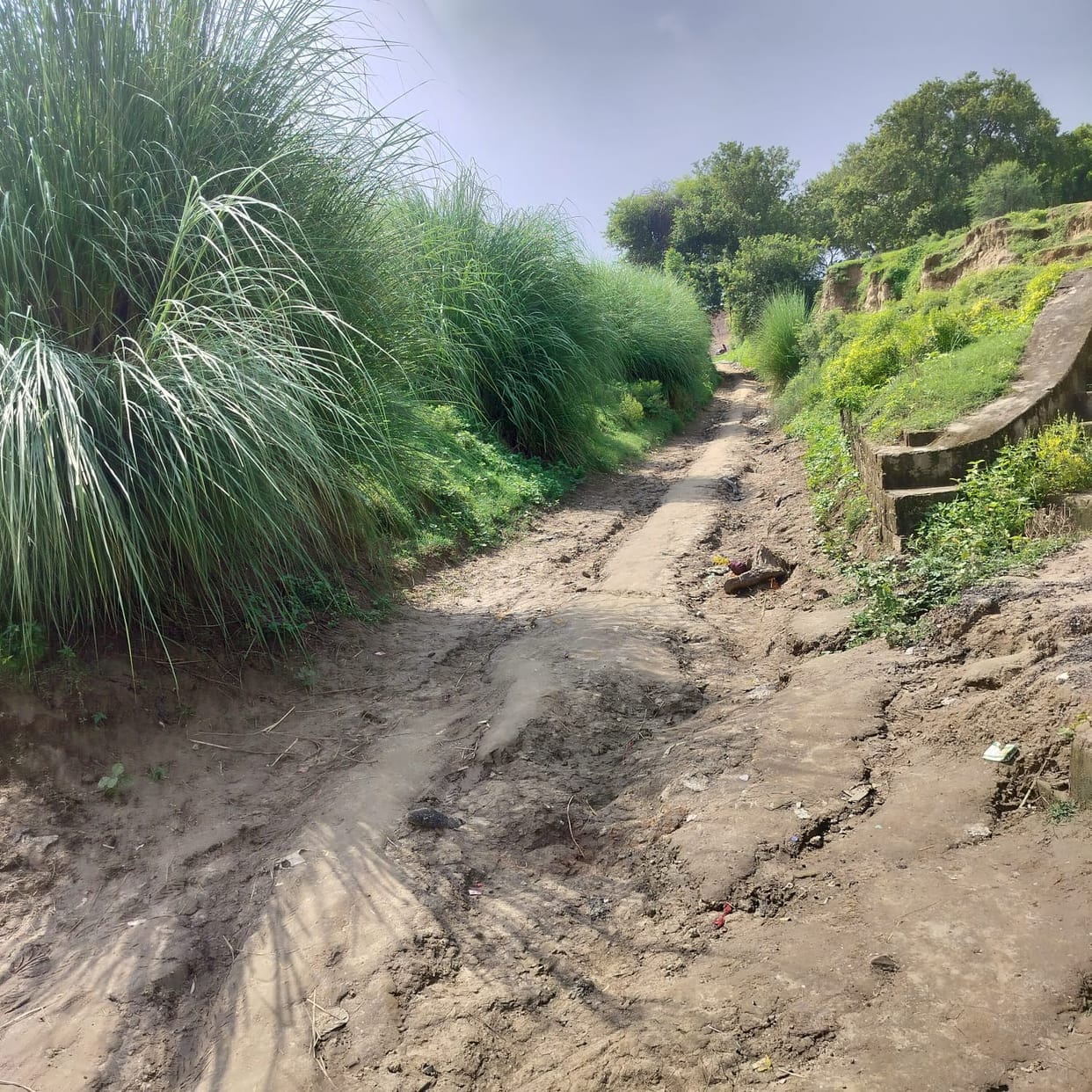 The 'trial by fire' of development to reach the cremation ground; the system mired in mud