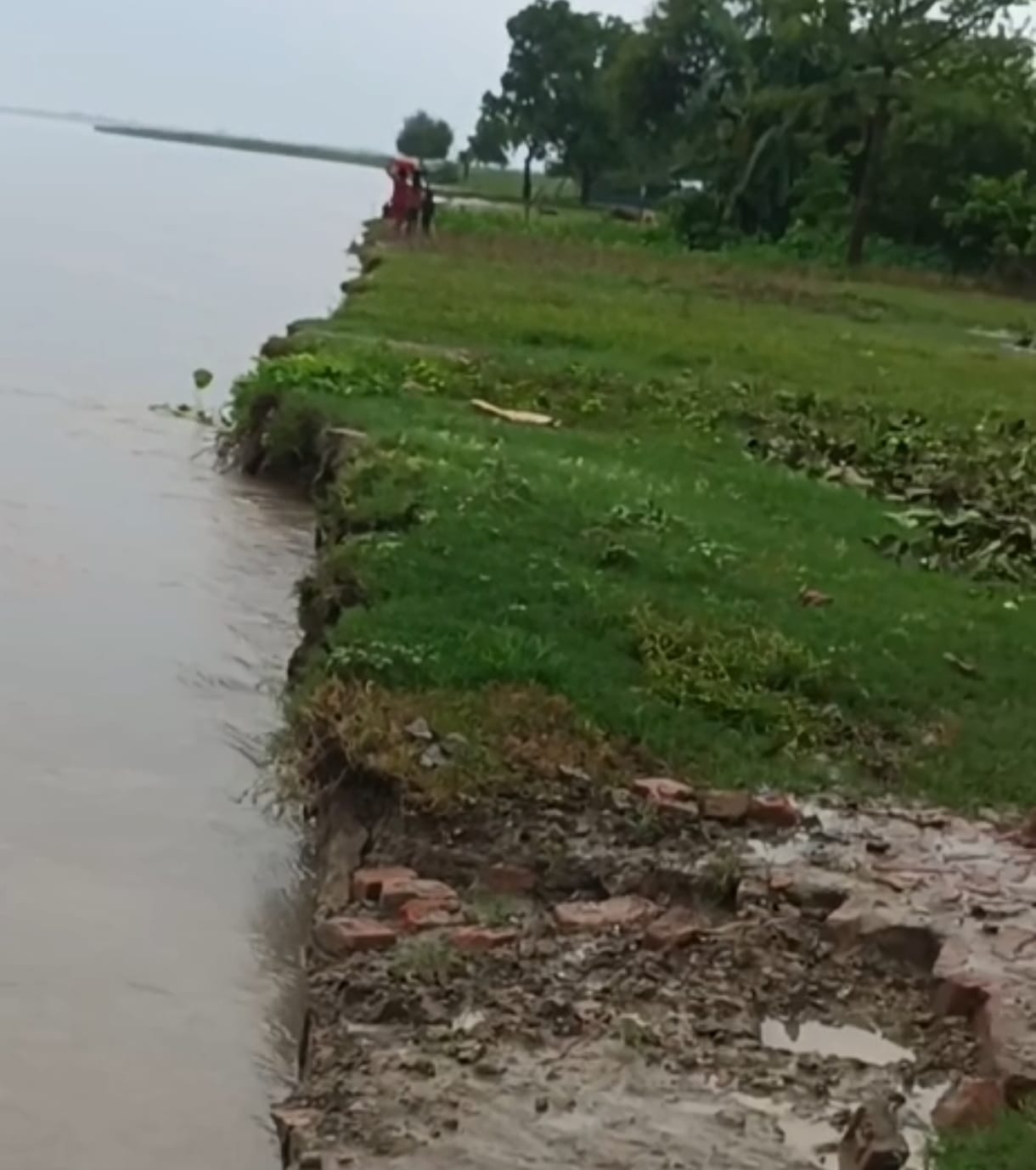 डुड़की गांव में कटान करती घाघरा नदी।