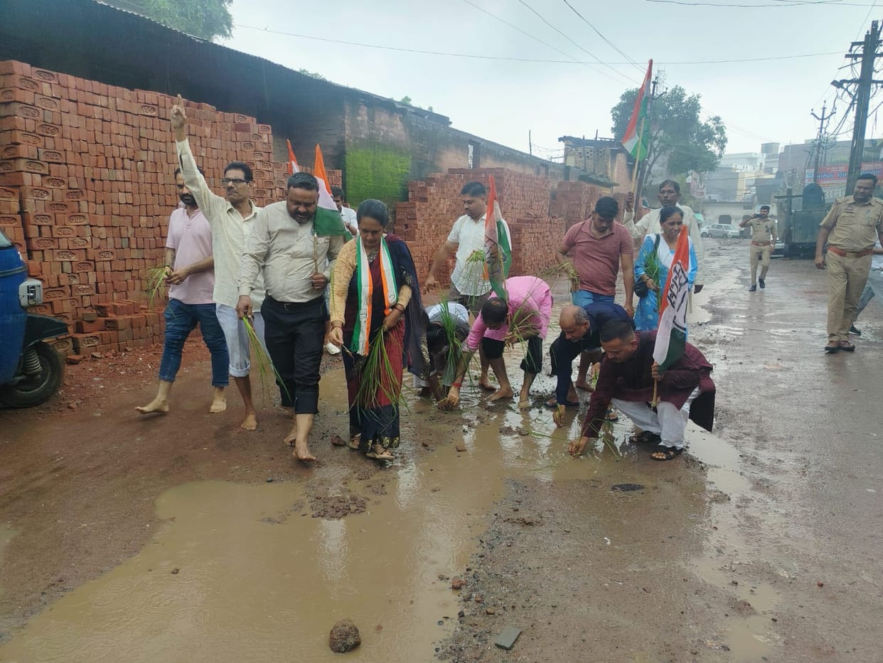 Congress members planted paddy seedlings in the waterlogged area.