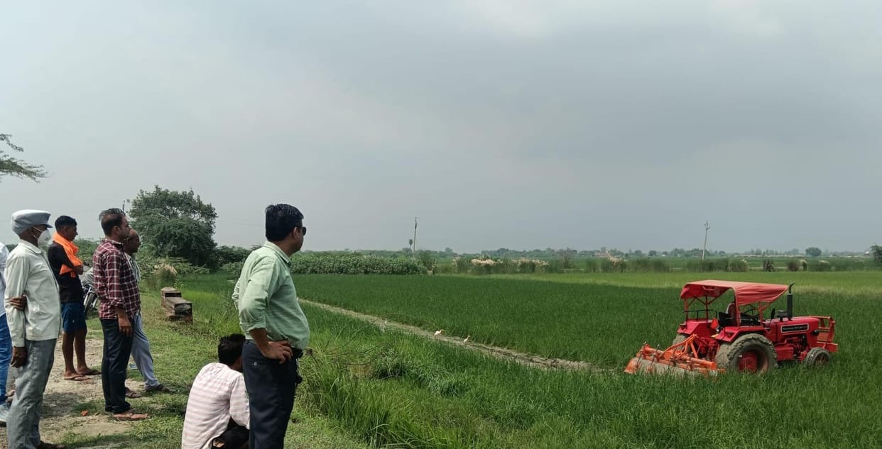 Paddy crop sown on government land; encroachment removed by ploughing it up.