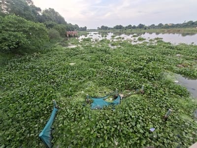 Even after so much rain, the Gomti is filled with filth instead of water